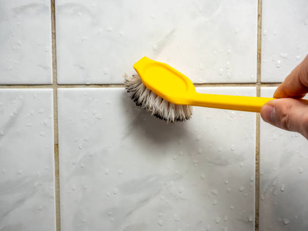Best Mold Remediation  in New Hope, PA