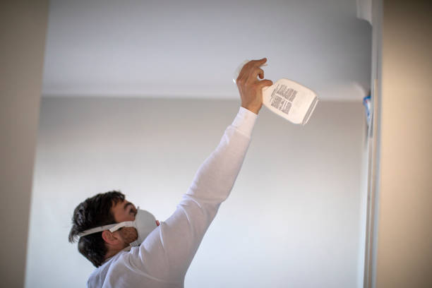 Best Residential Mold Removal  in New Hope, PA