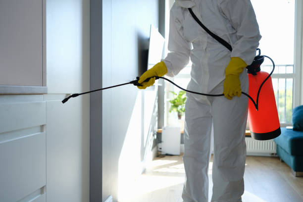 Professional Mold Removal in New Hope, PA