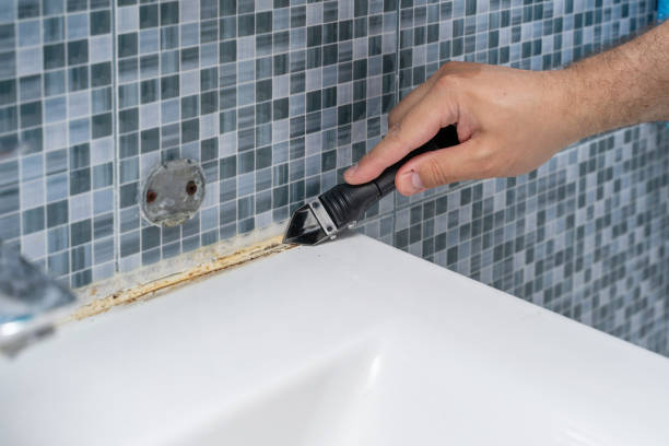 Best Office Mold Removal Services  in New Hope, PA