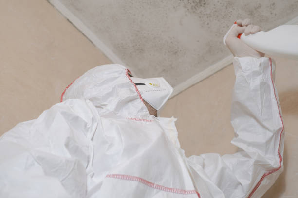 Home Mold Removal in New Hope, PA